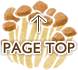 PAGE TOP